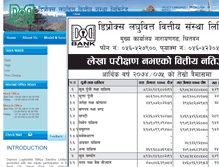 Tablet Screenshot of ddbank.org.np
